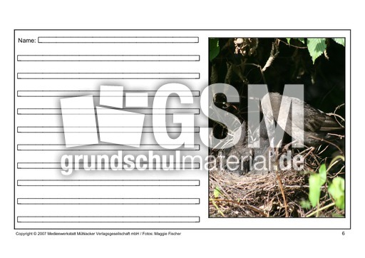 Amsel-eigene-Texte-6.pdf